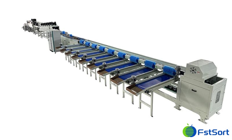 images/1671264007237Clasificador de frutas del dragón1.jpg